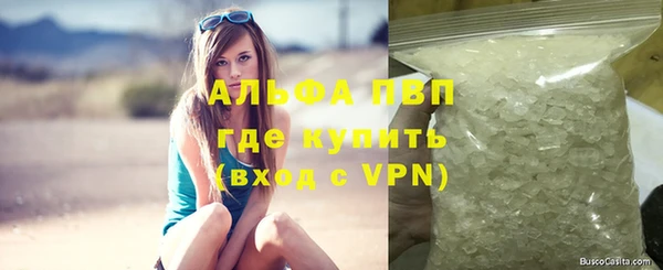 стафф Михайловск