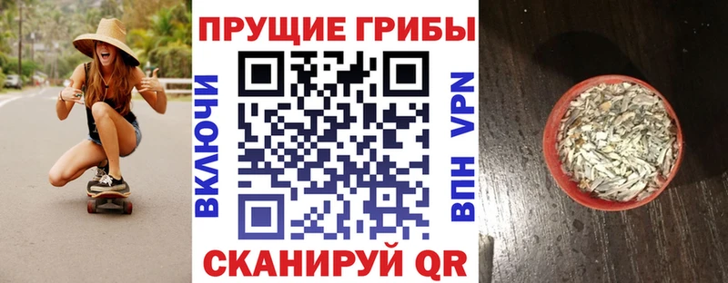 Купить  Березники  Галлюциногенные грибы Psilocybe 